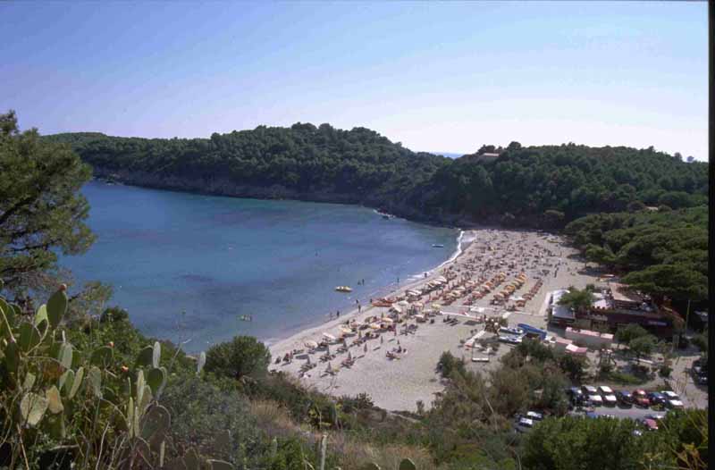 Elba stranden